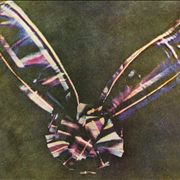 Picture Of First Color Photograph